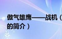 傲气雄鹰——战机（关于傲气雄鹰——战机的简介）