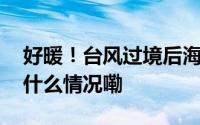 好暖！台风过境后海南街头的双向奔赴 到底什么情况嘞