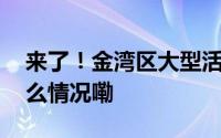 来了！金湾区大型活动！持续一周！ 到底什么情况嘞