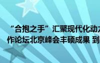 “合抱之手”汇聚现代化动力——国际社会高度评价中非合作论坛北京峰会丰硕成果 到底什么情况嘞