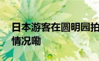 日本游客在圆明园拍照被网红制止 到底什么情况嘞