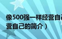 像500强一样经营自己（关于像500强一样经营自己的简介）