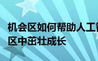 机会区如何帮助人工智能初创公司在低收入社区中茁壮成长