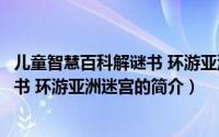 儿童智慧百科解谜书 环游亚洲迷宫（关于儿童智慧百科解谜书 环游亚洲迷宫的简介）