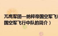 兀鹰军团—纳粹帝国空军飞行中队（关于兀鹰军团—纳粹帝国空军飞行中队的简介）