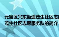 元宝区兴东街道茂生社区志愿服务队（关于元宝区兴东街道茂生社区志愿服务队的简介）