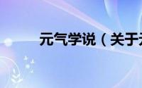 元气学说（关于元气学说的简介）