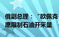 俄副总理：“欧佩克+”成员国将在12月前自愿限制石油开采量