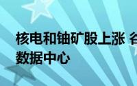 核电和铀矿股上涨 谷歌称考虑购买核电用于数据中心