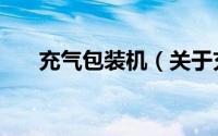 充气包装机（关于充气包装机的简介）