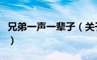 兄弟一声一辈子（关于兄弟一声一辈子的简介）