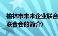 榆林市未来企业联合会(关于榆林市未来企业联合会的简介)