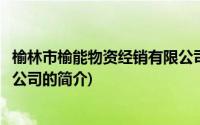 榆林市榆能物资经销有限公司(关于榆林市榆能物资经销有限公司的简介)