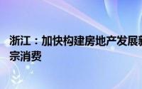 浙江：加快构建房地产发展新模式 提振汽车、电子产品等大宗消费