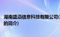 湖南盛滔信息科技有限公司(关于湖南盛滔信息科技有限公司的简介)