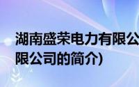 湖南盛荣电力有限公司(关于湖南盛荣电力有限公司的简介)