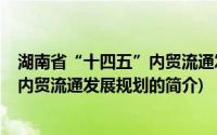 湖南省“十四五”内贸流通发展规划(关于湖南省“十四五”内贸流通发展规划的简介)