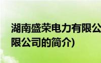 湖南盛荣电力有限公司(关于湖南盛荣电力有限公司的简介)