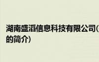 湖南盛滔信息科技有限公司(关于湖南盛滔信息科技有限公司的简介)