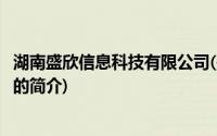 湖南盛欣信息科技有限公司(关于湖南盛欣信息科技有限公司的简介)