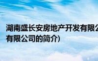 湖南盛长安房地产开发有限公司(关于湖南盛长安房地产开发有限公司的简介)