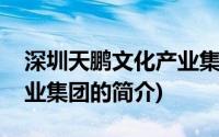 深圳天鹏文化产业集团(关于深圳天鹏文化产业集团的简介)