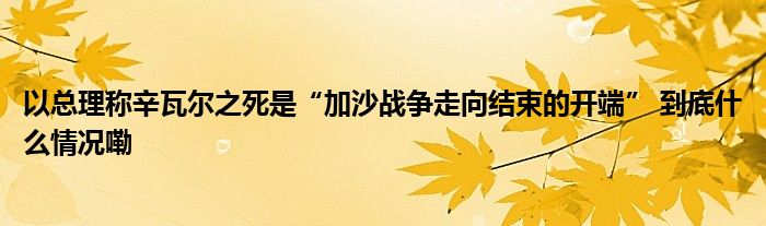 以总理称辛瓦尔之死是“加沙战争走向结束的开端” 到底什么情况嘞