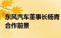 东风汽车董事长杨青：中欧汽车产业有着广阔合作前景