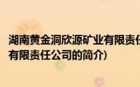 湖南黄金洞欣源矿业有限责任公司(关于湖南黄金洞欣源矿业有限责任公司的简介)