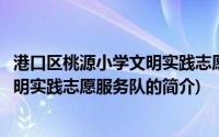 港口区桃源小学文明实践志愿服务队(关于港口区桃源小学文明实践志愿服务队的简介)