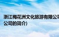 浙江梅花洲文化旅游有限公司(关于浙江梅花洲文化旅游有限公司的简介)