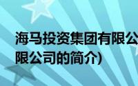 海马投资集团有限公司(关于海马投资集团有限公司的简介)