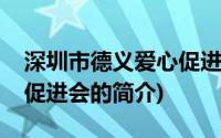 深圳市德义爱心促进会(关于深圳市德义爱心促进会的简介)