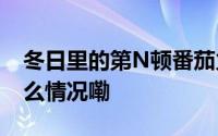 冬日里的第N顿番茄火锅 汤都给干完 到底什么情况嘞