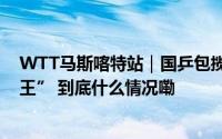 WTT马斯喀特站｜国乒包揽五金 林诗栋、蒯曼加冕“双冠王” 到底什么情况嘞