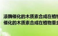 漆酶催化的木质素合成在植物重金属耐性中的作用(关于漆酶催化的木质素合成在植物重金属耐性中的作用的简介)