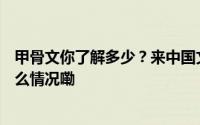 甲骨文你了解多少？来中国文字博物馆“涨知识”~ 到底什么情况嘞