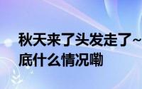 秋天来了头发走了~这究竟是为什么呢？ 到底什么情况嘞