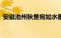 安徽池州秋景宛如水墨画卷 到底什么情况嘞