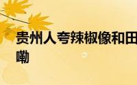 贵州人夸辣椒像和田玉一样润 到底什么情况嘞