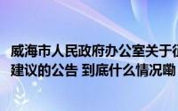 威海市人民政府办公室关于征集2025年度市级重点民生实事建议的公告 到底什么情况嘞