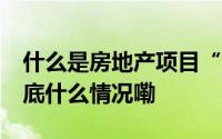 什么是房地产项目“白名单”？ 财经新知 到底什么情况嘞