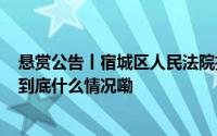 悬赏公告丨宿城区人民法院执行悬赏公告 2024年第107期 到底什么情况嘞