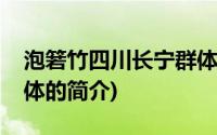 泡箬竹四川长宁群体(关于泡箬竹四川长宁群体的简介)