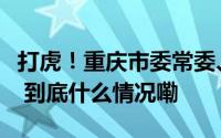 打虎！重庆市委常委、政法委书记陆克华被查 到底什么情况嘞