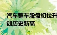 汽车整车股盘初拉升 赛力斯触及涨停股价续创历史新高