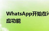 WhatsApp开始在iOS上测试其新的消息反应功能