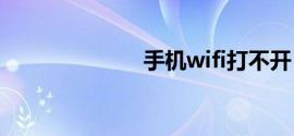 手机wifi打不开