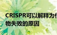 CRISPR可以解释为什么这么多实验性癌症药物失败的原因