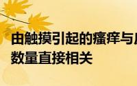 由触摸引起的瘙痒与皮肤中嵌入的触摸受体的数量直接相关